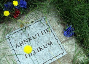 ahnkuttie tilikums