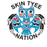 skin tyee