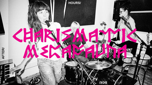 charismatic-megafauna