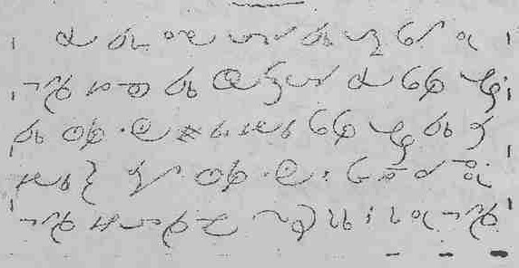 cannery first page (2)