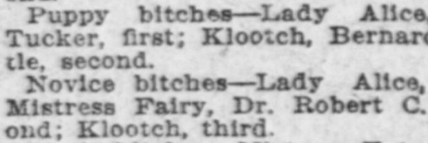 Klootch puppy bitches (2)