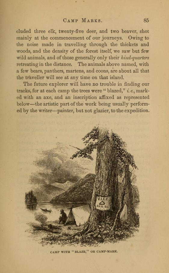 Blazed tree in Whympers Travel and Adventure in the Territory of Alaska page 85