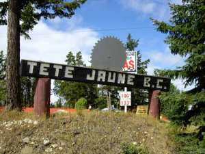 Tete Jaune Yellowhead