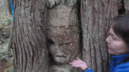 namgis-arborglyph-2013