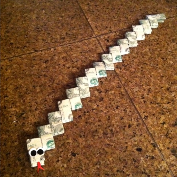 money snake