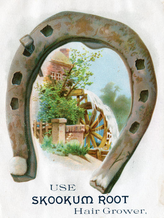 SKOOKUM ROOT HORSESHOE