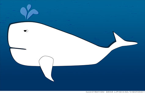 white whale