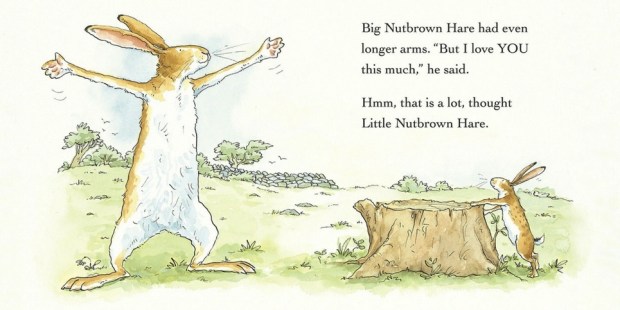 Big-Nutbrown-Hare