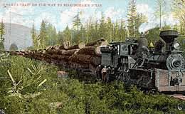 whatcom logging