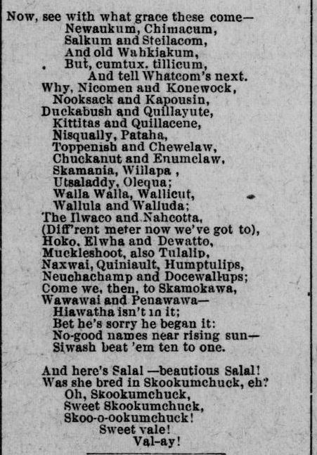 euphonic washingtonia 04