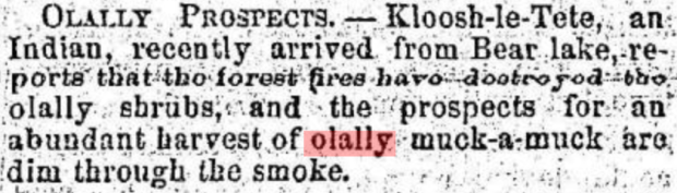 olally prospects.PNG