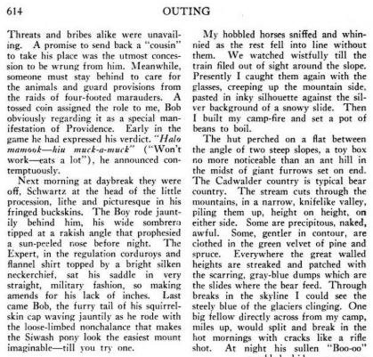 a woman tenderfoot in bear country 09