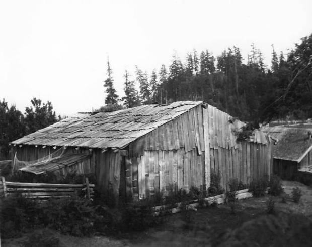potlatch house swinomish