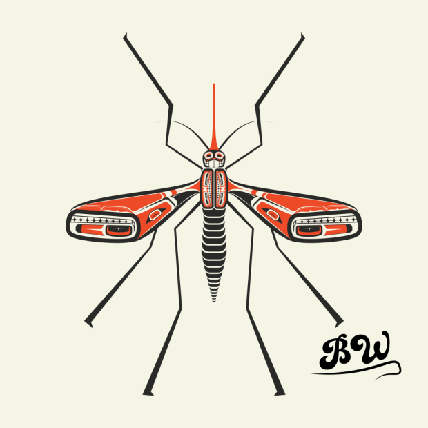 salish mosquito.png