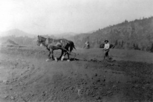 tuolumne rancheria alex-thompson-with-horses-300x201