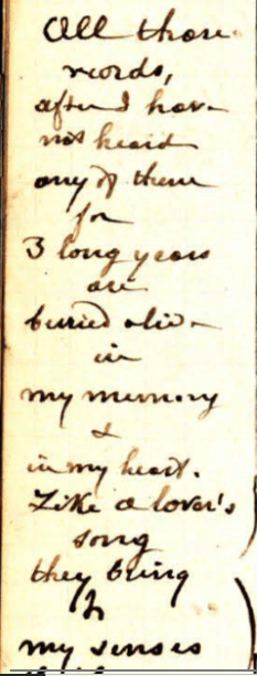 all these words 01.PNG