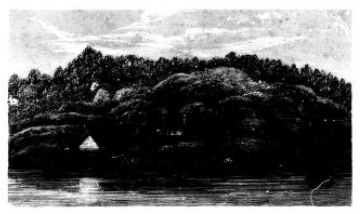 belcher uncaptioned image