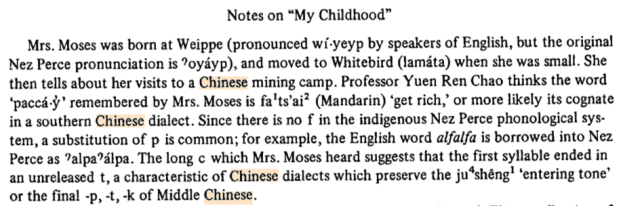 chinese new year notes