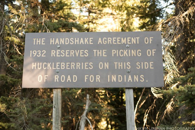 Sawtooth Berry Fields
