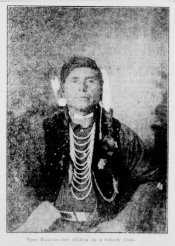 tyee yum-te-bee portrait