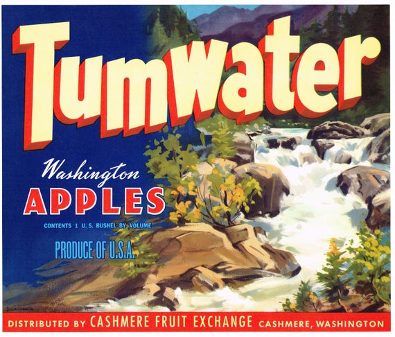 apples tumwater