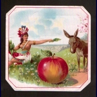 indian apple ass