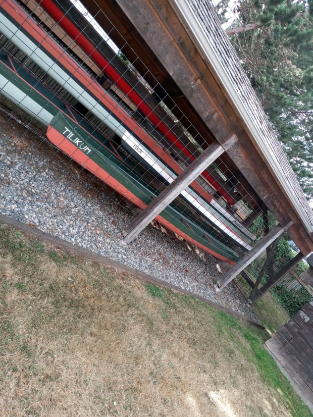 vacation photos tilikum canoe