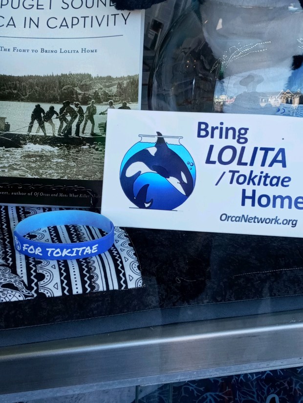 vacation photos tokitae