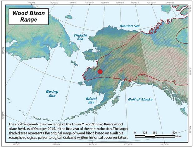 wood bison range