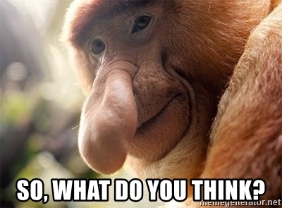 so-what-do-you-think