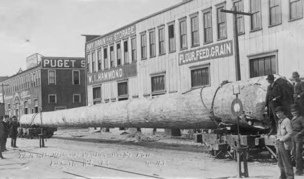 Large_log_for_the_Mechanics_Pavilion_for_the_1893_World's_Fair_in_Chicago;_Seattle,_1909_(BOYD+BRAAS_165)