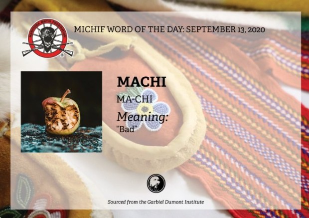 Screenshot 2022-05-03 082209