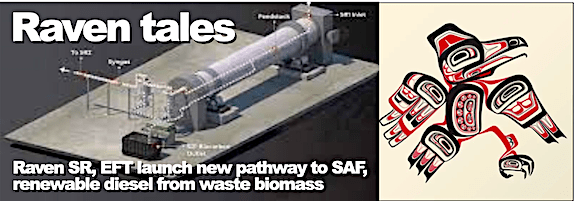 BD-TS-100622-raven-cover-sm