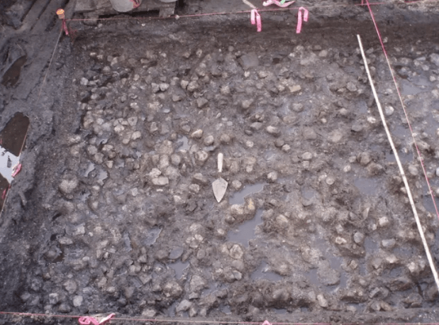 ancient water potato garden