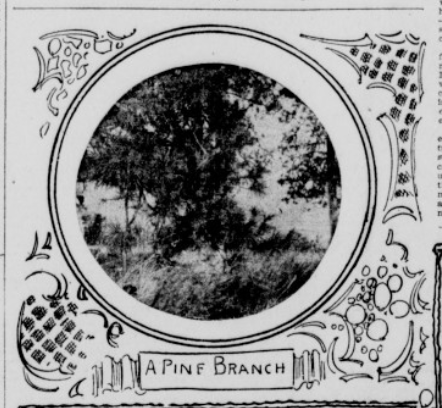 Screenshot 2023-11-03 073539