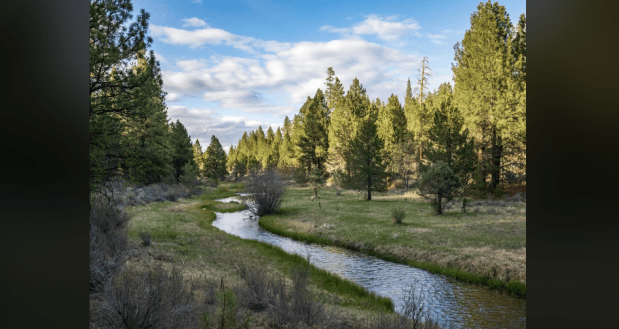 Screenshot 2023-11-13 081725