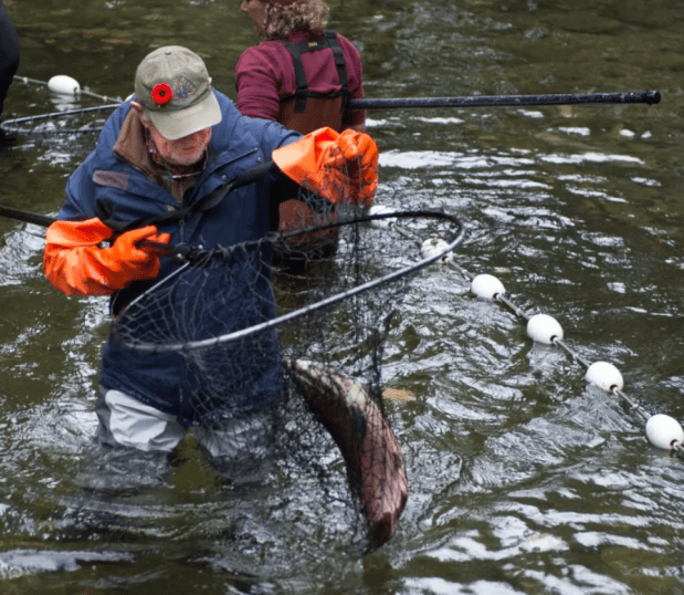 Screenshot 2023-11-21 065724