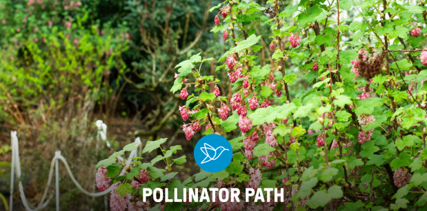 Screenshot 2024-04-18 064325