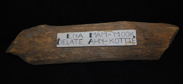 441232132_854198343416470_2751221400804598317_n