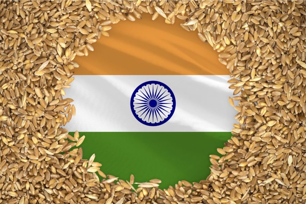 India-flag-grain-wheat_PREHISTORIK---STOCK.ADOBE.COM_e