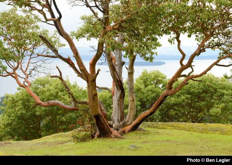 4bdf0071bb35919ae4e36cd640cc6b58